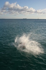 Enlarge photo 191
