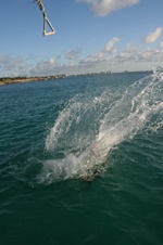 Enlarge photo 203