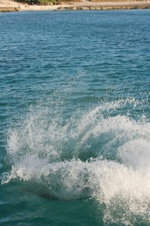 Enlarge photo 212