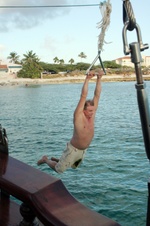 Enlarge photo 224
