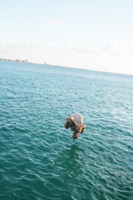 Enlarge photo 228