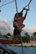 Enlarge photo 240