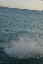 Enlarge photo 248