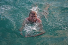 Enlarge photo 260