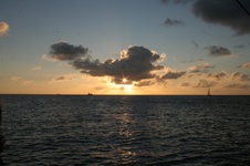 Enlarge photo 262
