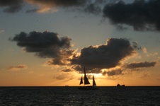 Enlarge photo 265