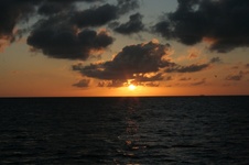Enlarge photo 268