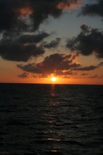 Enlarge photo 269