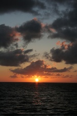 Enlarge photo 270