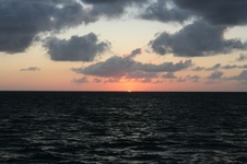 Enlarge photo 273