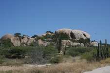 Enlarge photo 297