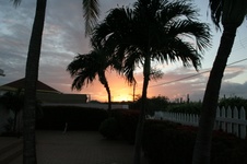 Enlarge photo 309