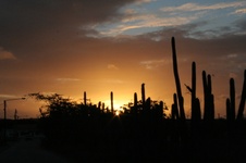 Enlarge photo 310