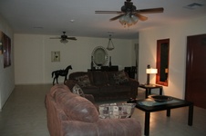 Enlarge photo 318