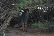 Enlarge photo 328