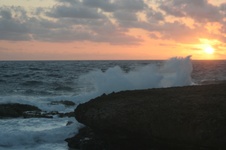 Enlarge photo 331