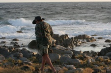 Enlarge photo 341