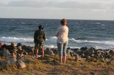 Enlarge photo 346