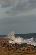 Enlarge photo 348
