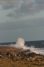 Enlarge photo 350