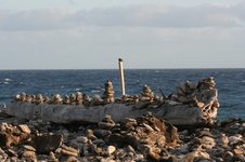 Enlarge photo 336