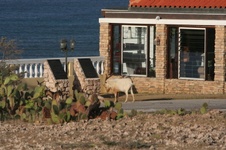 Enlarge photo 345