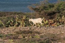 Enlarge photo 347