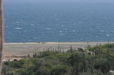 Enlarge photo 352