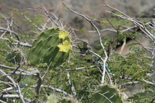 Enlarge photo 355