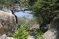 Enlarge photo 360