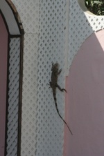 Enlarge photo 382