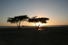 Enlarge photo 394