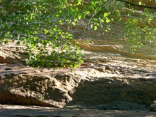Enlarge photo 42