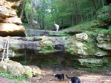 Enlarge photo 47