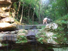 Enlarge photo 51