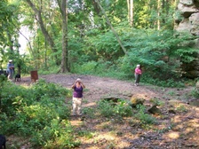 Enlarge photo 52