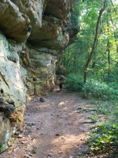 Enlarge photo 53