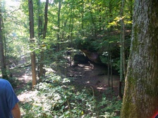 Enlarge photo 55