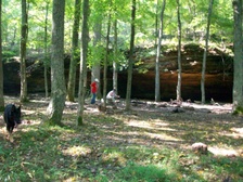 Enlarge photo 59