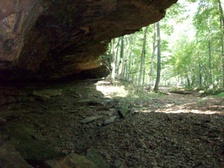 Enlarge photo 62