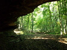 Enlarge photo 63