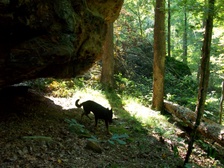 Enlarge photo 66