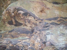 Enlarge photo 67