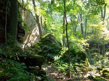 Enlarge photo 68
