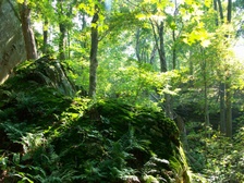 Enlarge photo 69