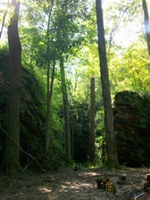 Enlarge photo 70