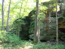 Enlarge photo 71