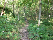 Enlarge photo 72
