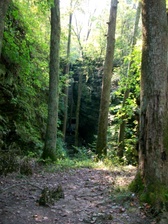Enlarge photo 73