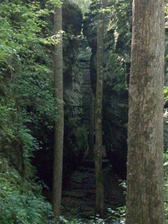 Enlarge photo 74